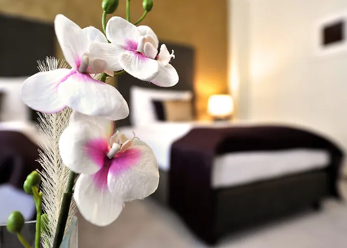 Hotel Aplend City Perugia